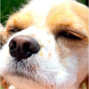 Meet your Posher, Alison